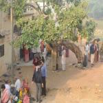 Vraj-Yatra-2014- (2818)